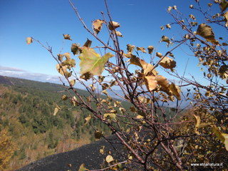 nte Zappinazzo-04-11-2012 11-26-38